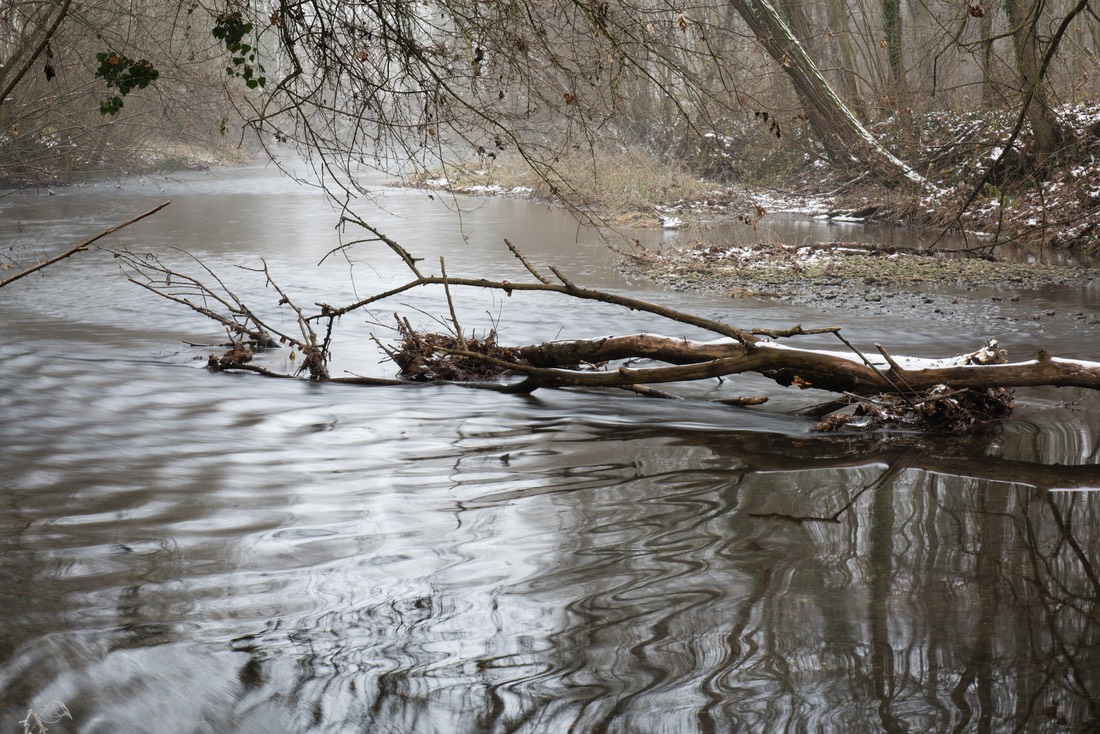 2015 01 01 Colmar 112