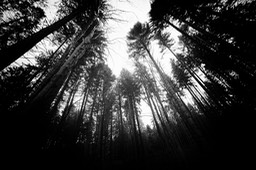 2015_03_29_Lac_Forlet_038_SilverFx_037