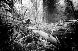 2015_03_29_Lac_Forlet_068_SilverFx_037