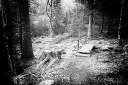 2015_03_29_Lac_Forlet_077_SilverFx_037