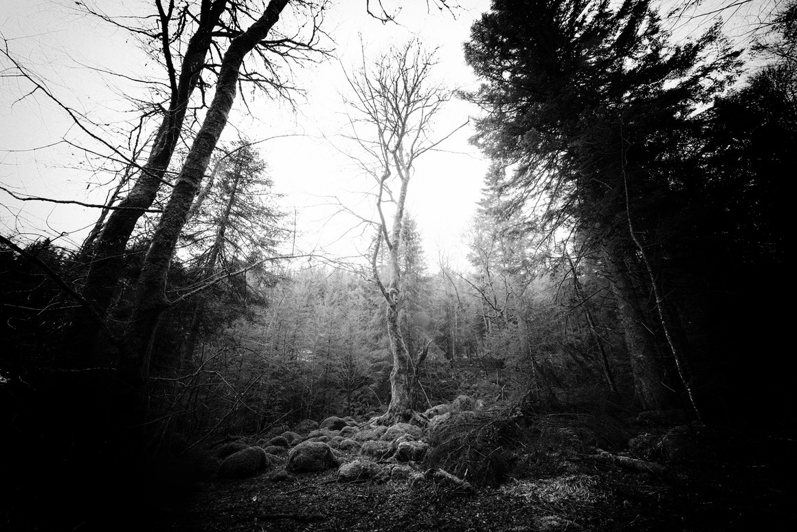 2015 03 29 Lac Forlet 093 SilverFx 037