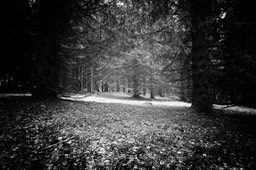 2015_03_29_Lac_Forlet_116_SilverFx_037