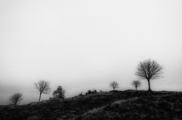 2016_04_03_Vosges_047_SFx_012