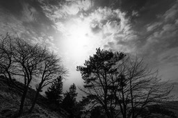 2016_04_03_Vosges_122_SFx_012