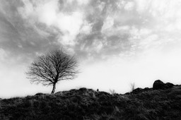 2016_04_03_Vosges_135_SFx_012