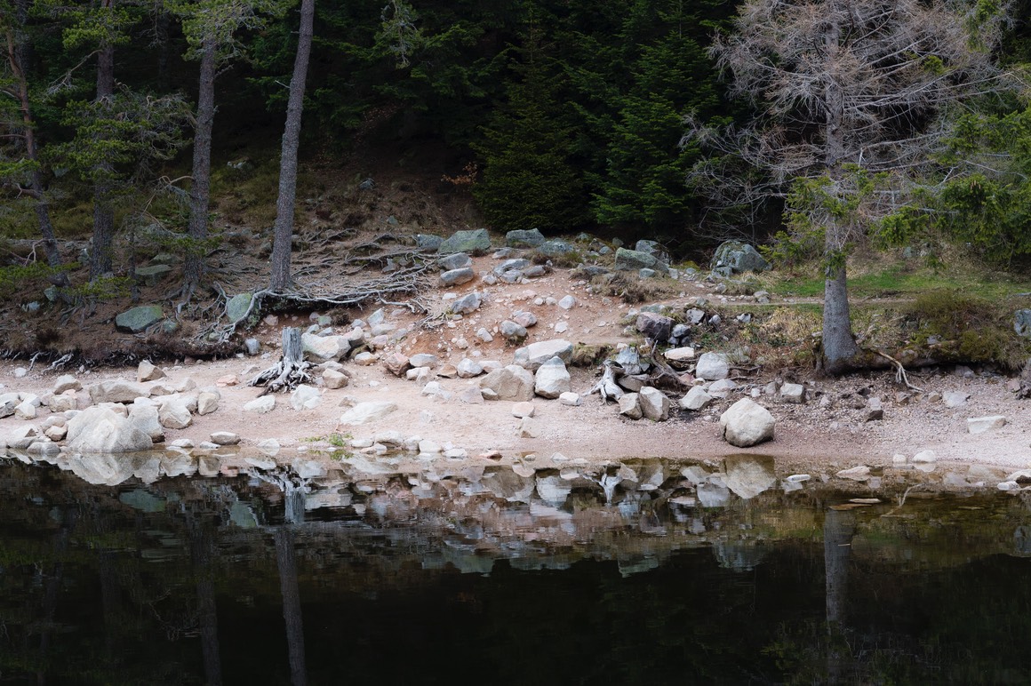 2016 04 03 Vosges 253