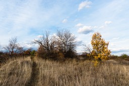 2016_11_20_Bollenberg_049_PS