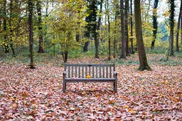 2018_11_04_Schoppenwihr_029_PS