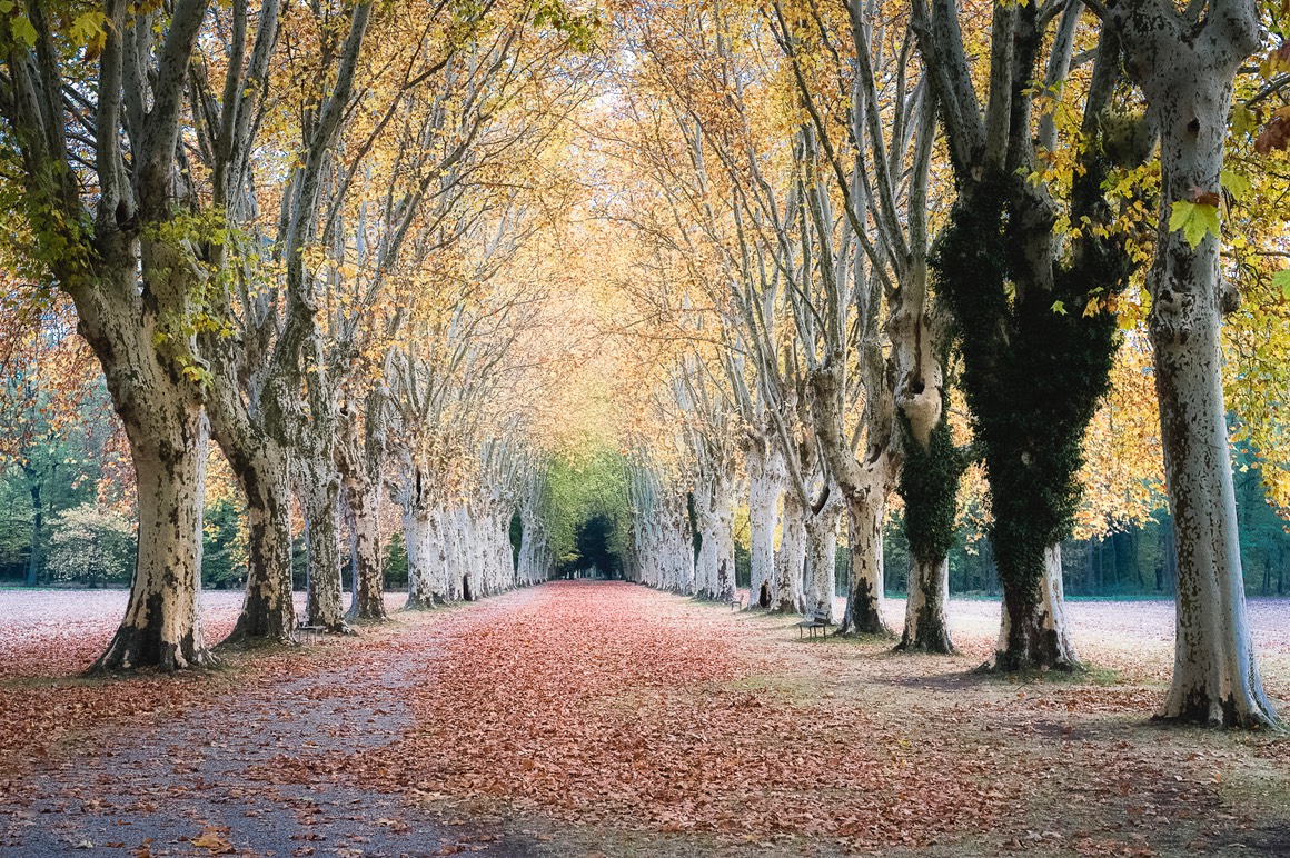 2018 11 04 Schoppenwihr 263 PS CFx