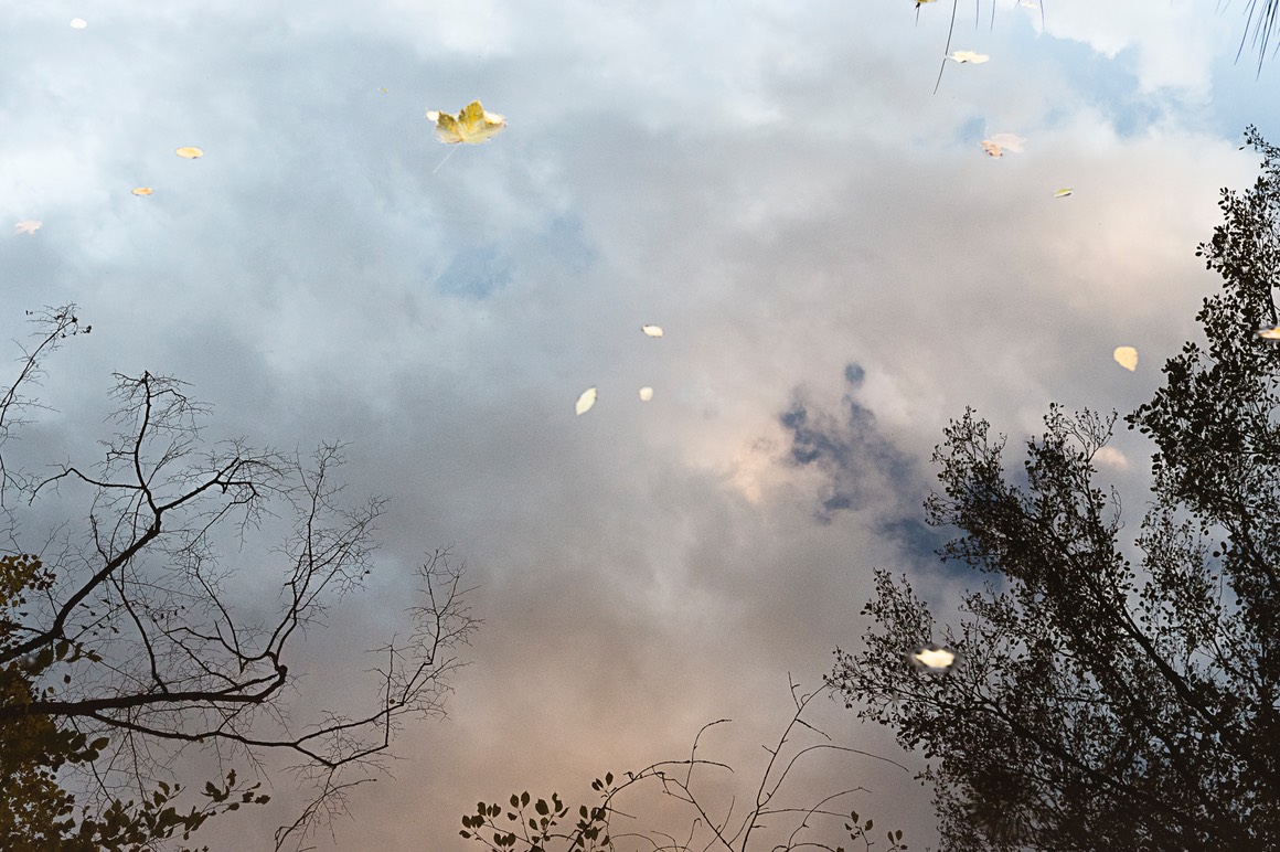 2018 11 11 Schoppenwihr 149 PS