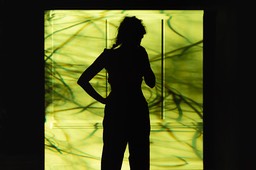 2019_07_28_Cie_Indocile_Les_Pas_Pareils_385_PS