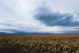 2019_10_12_Orageux_001_PS_CFx_GG