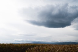 2019_10_12_Orageux_079_PS_Cfx_GG