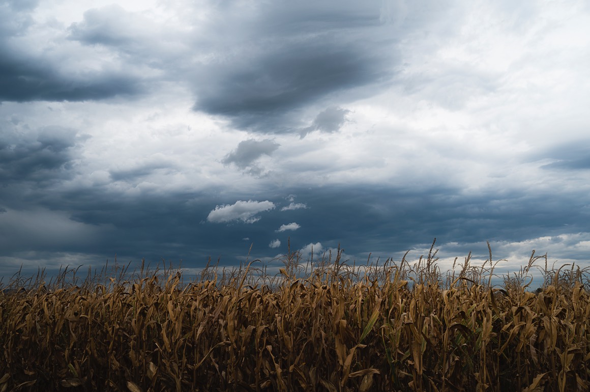 2019 10 12 Orageux 164 PS CFx GG