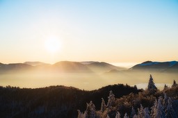 2021_01_11_Markstein_1292_PS