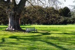 2021_04_24_Schoppenwihr_223_PS_CFx