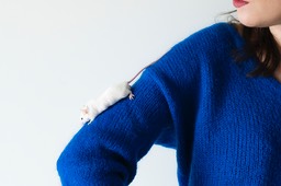 2022_02_17_Barbara_231_PS