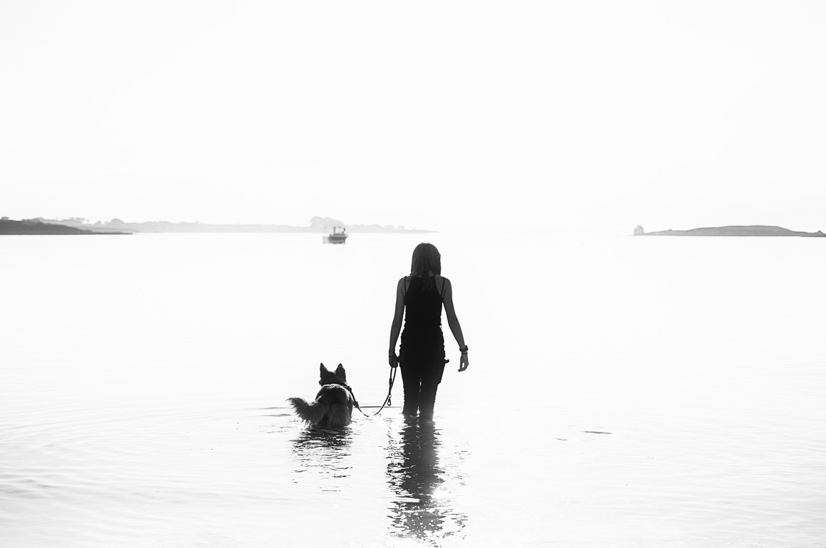 2023 09 17 Bretagne ARE 0247 PS SFx HC low