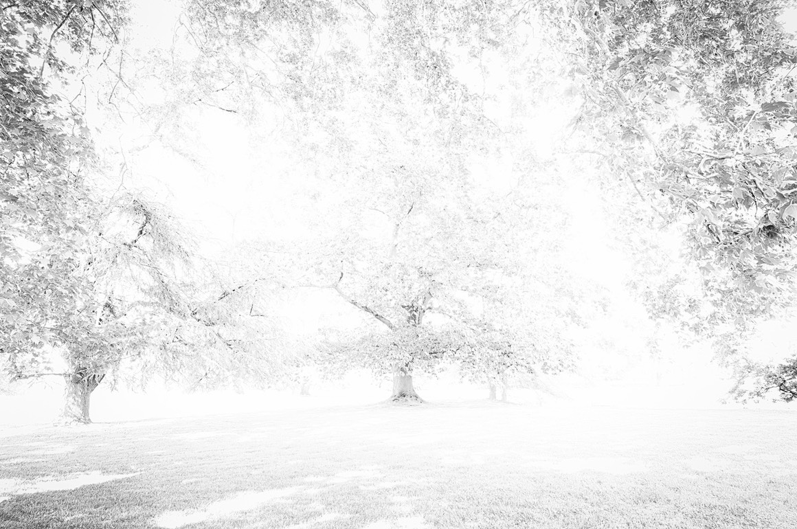 2025 05 11 Schoppenwihr 034 PS SFx HG low